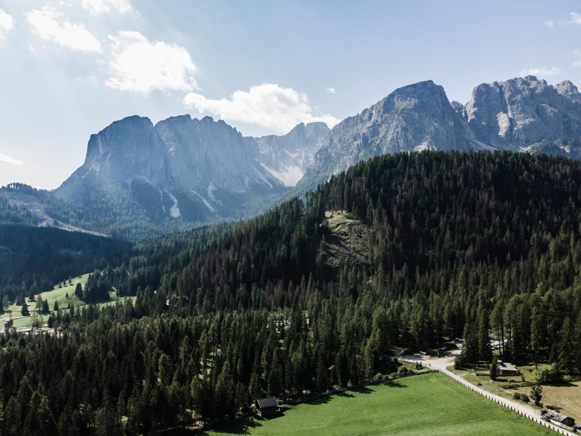 Hotel Pension Odles San Martino in Badia Luaran gambar
